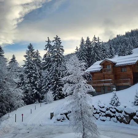 木屋 La Tania - 14 Personnes - 7 7 Salles De Bains - 40 M Des Pistes
