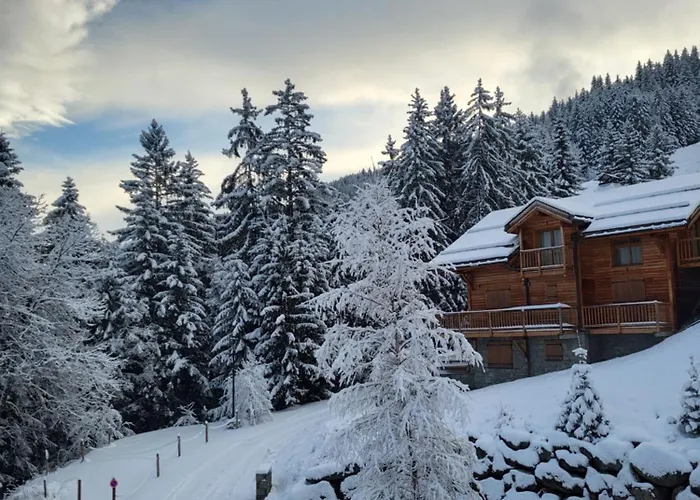 شاليه La Tania - 14 Personnes - 7 7 Salles De Bains - 40 M Des Pistes